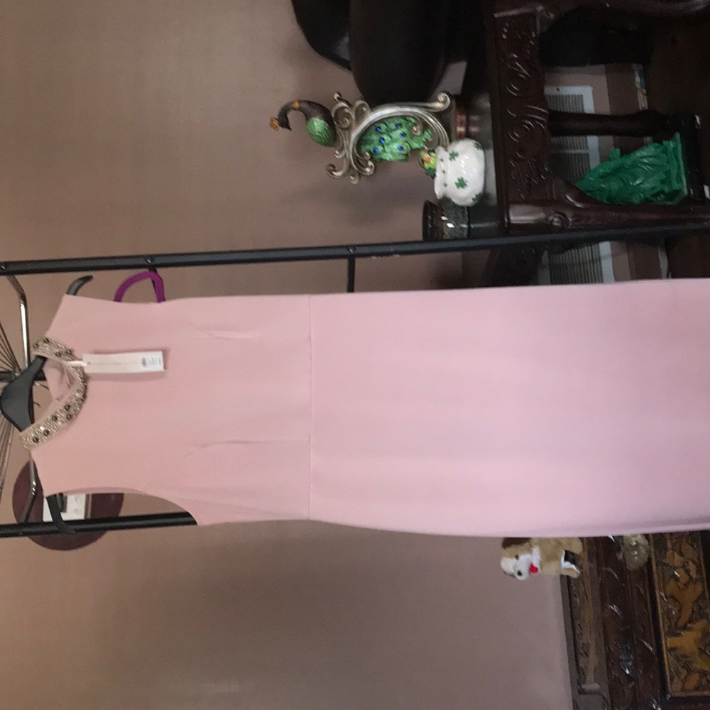 Pink cocktail dress NWT